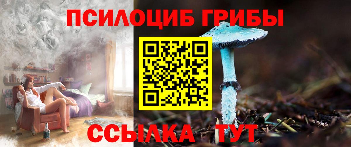 Благовещенск  Галлюциногенные грибы Psilocybine cubensis  Вход с VPN 